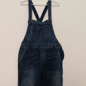 Free People denim overalls